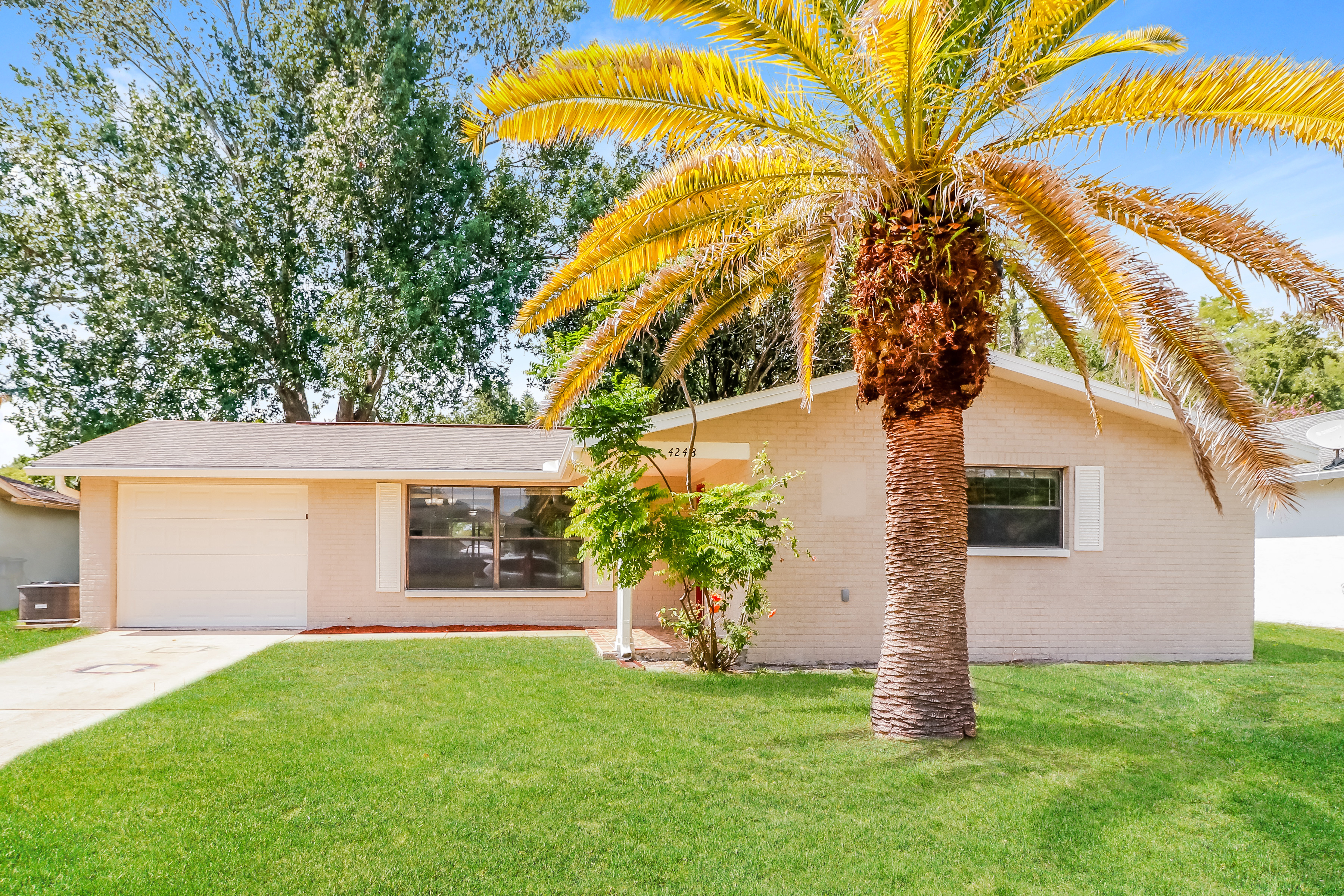 4248 Raccoon Loop New Port Richey, FL 34653